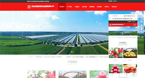 企業(yè)網(wǎng)站、程序軟件App解決方案